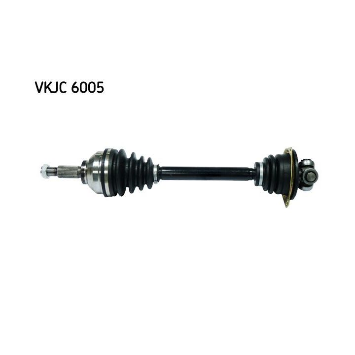 Pusašis SKF VKJC 6005