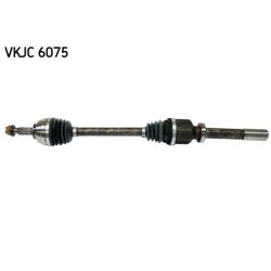 Pusašis SKF VKJC 6075