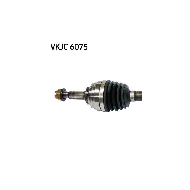 Pusašis SKF VKJC 6075