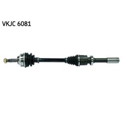 Pusašis SKF VKJC 6081