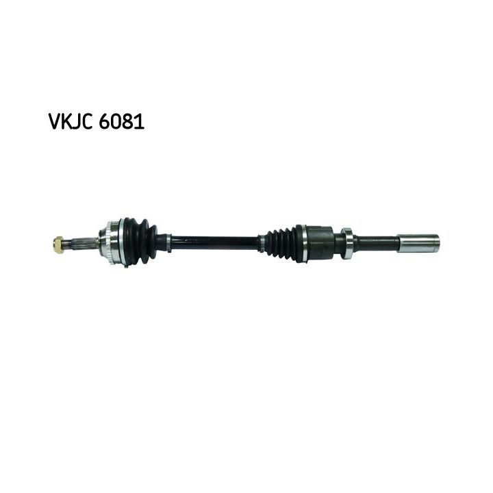 Pusašis SKF VKJC 6081