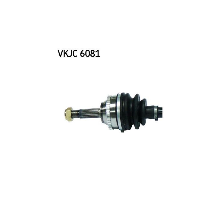 Pusašis SKF VKJC 6081