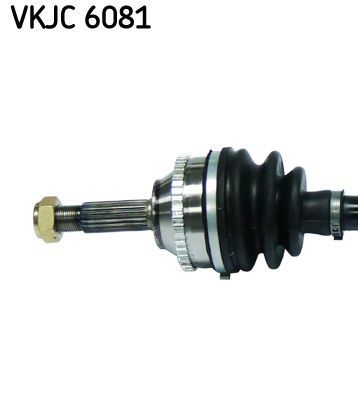 Pusašis SKF VKJC 6081