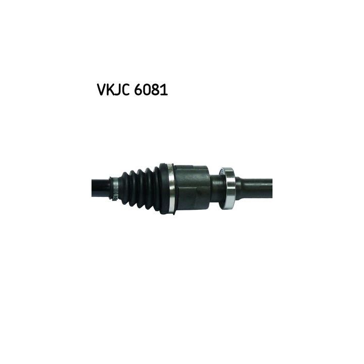 Pusašis SKF VKJC 6081