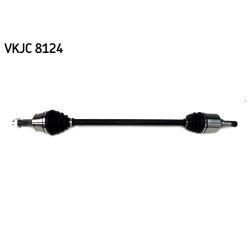 Pusašis SKF VKJC 8124