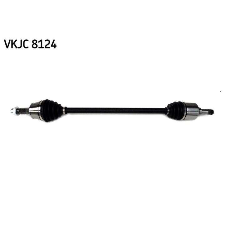 Pusašis SKF VKJC 8124