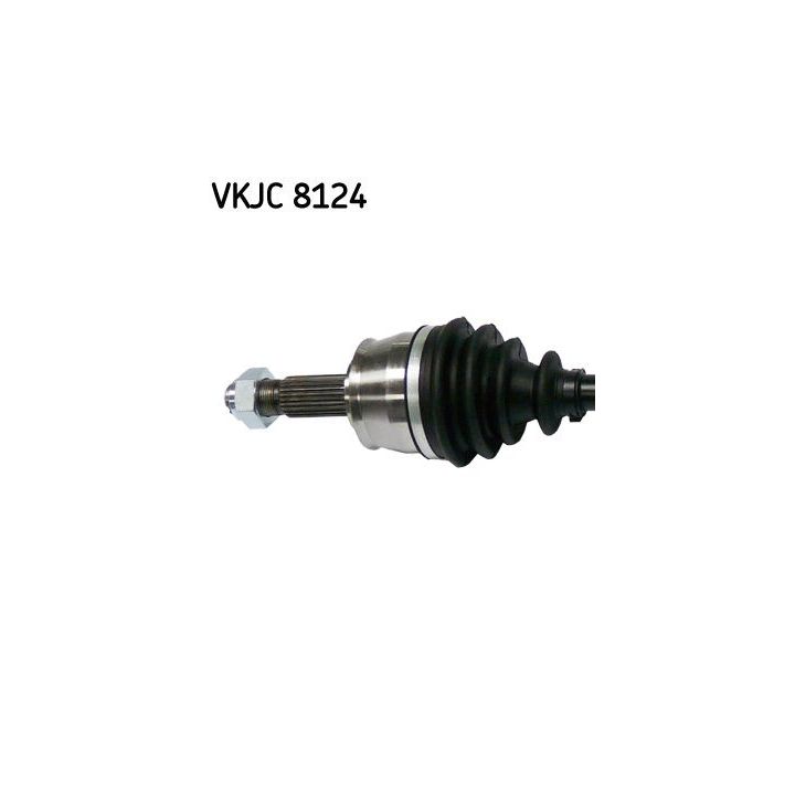 Pusašis SKF VKJC 8124