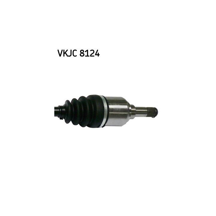 Pusašis SKF VKJC 8124