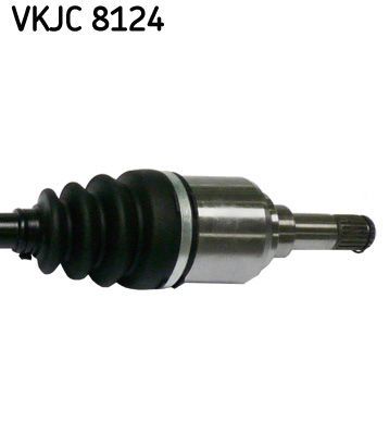 Pusašis SKF VKJC 8124