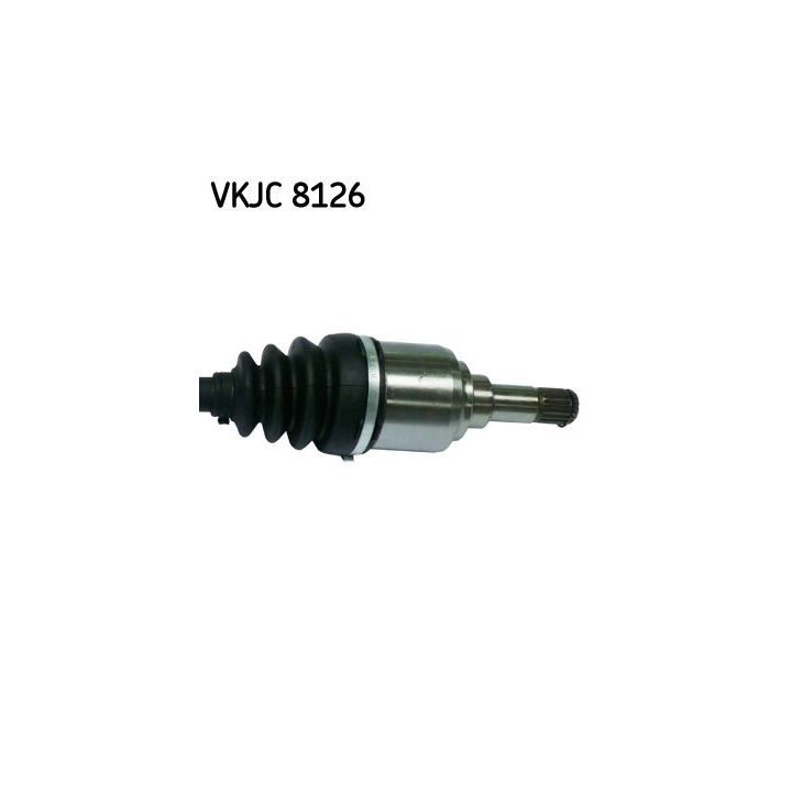 Pusašis SKF VKJC 8126