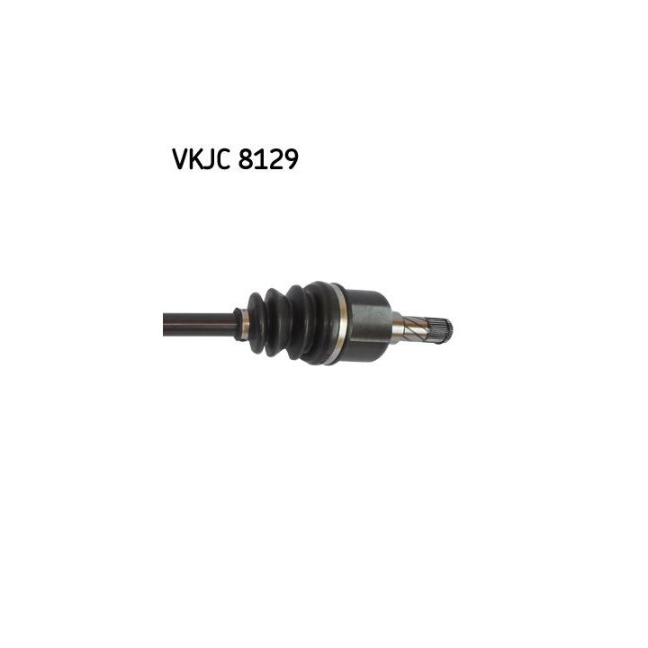 Pusašis SKF VKJC 8129