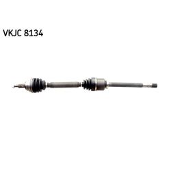 Pusašis SKF VKJC 8134