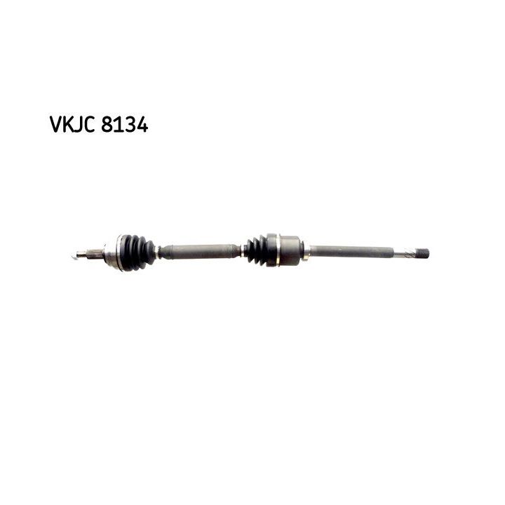 Pusašis SKF VKJC 8134