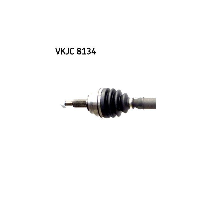 Pusašis SKF VKJC 8134