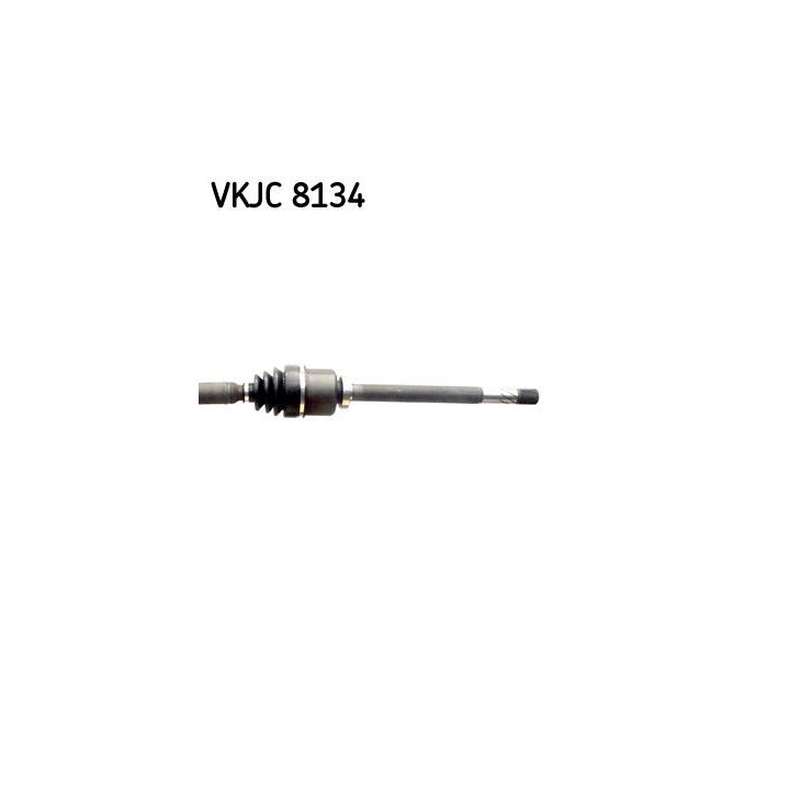 Pusašis SKF VKJC 8134