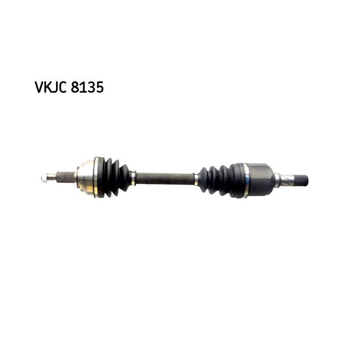 Pusašis SKF VKJC 8135