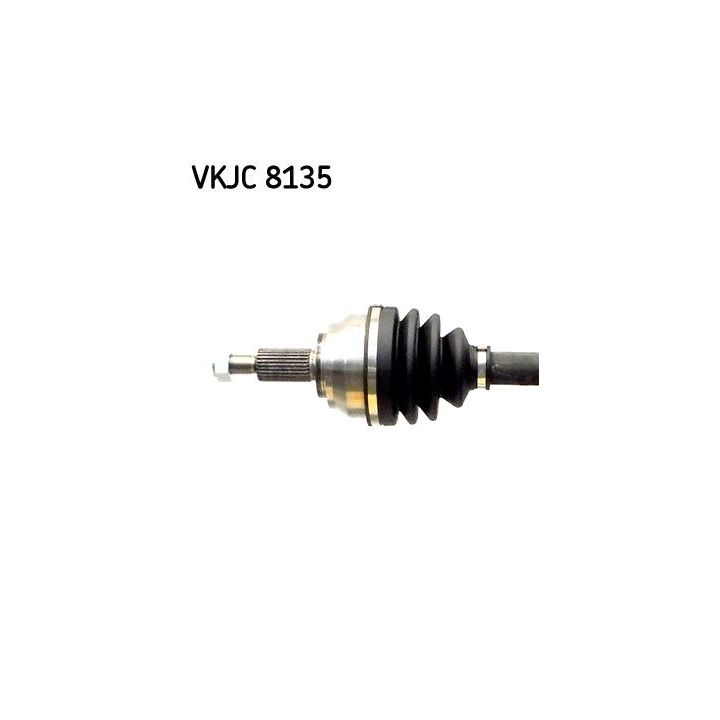 Pusašis SKF VKJC 8135