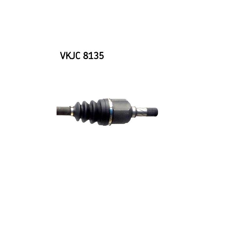 Pusašis SKF VKJC 8135