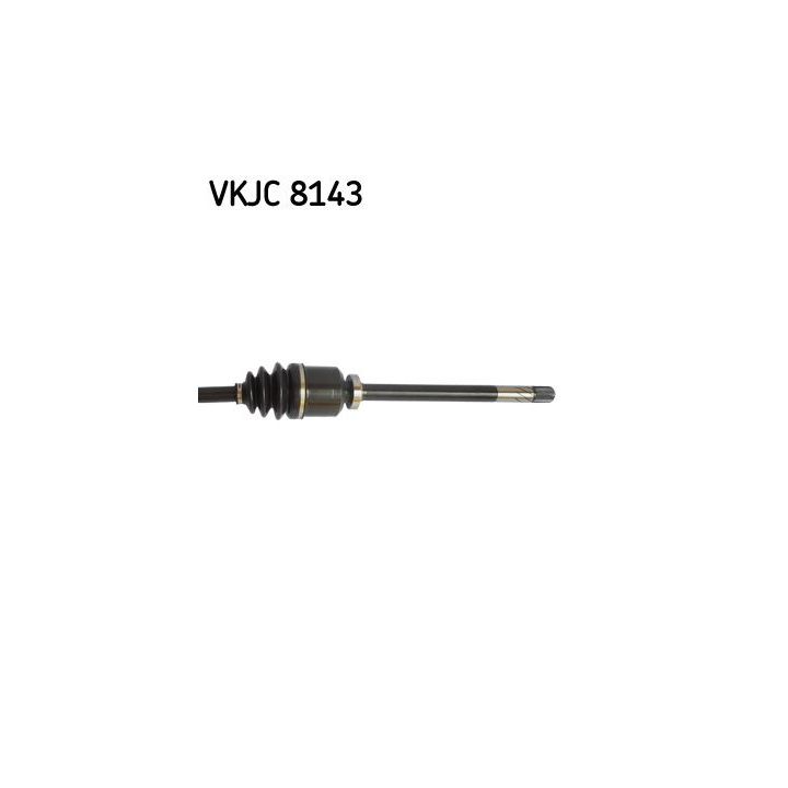 Pusašis SKF VKJC 8143