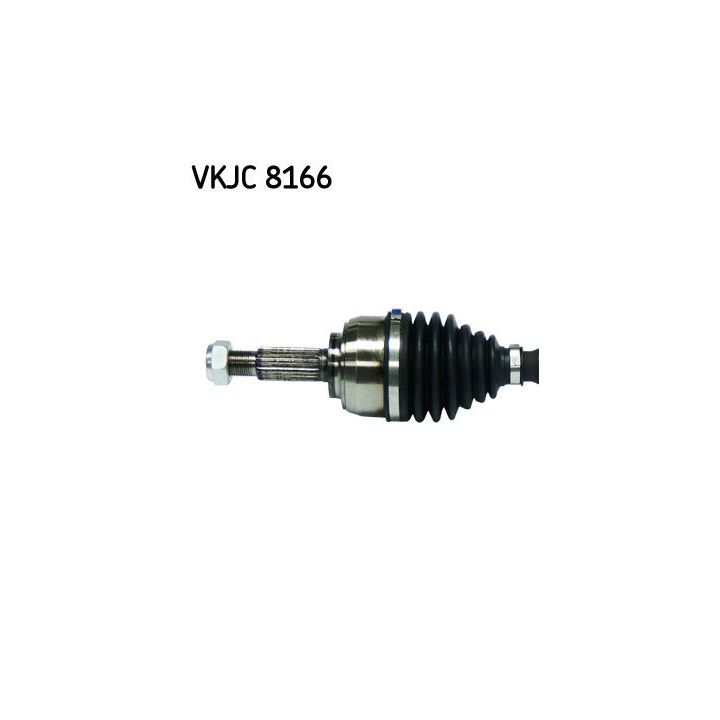 Pusašis SKF VKJC 8166