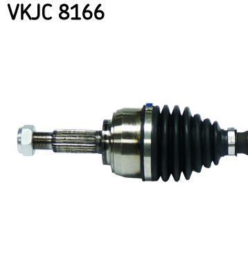 Pusašis SKF VKJC 8166