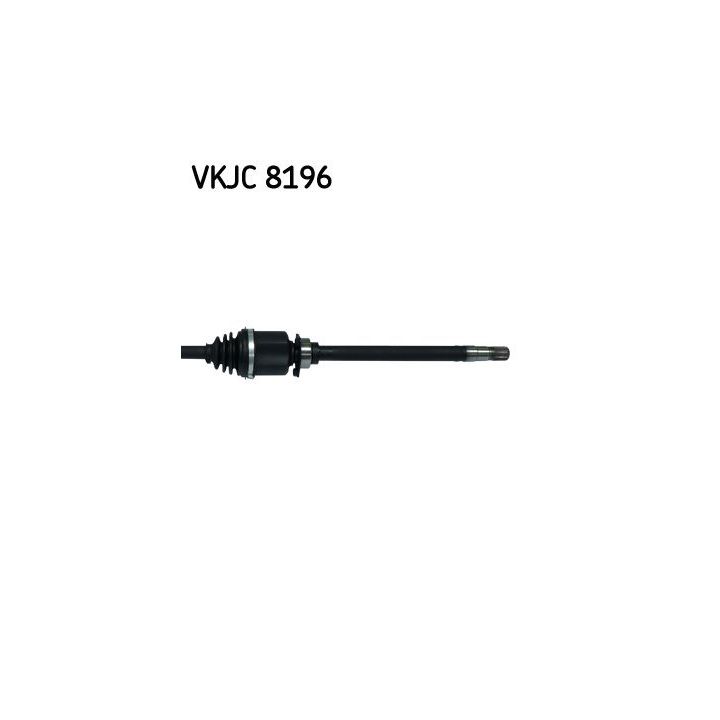 Pusašis SKF VKJC 8196