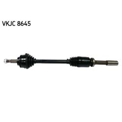 Pusašis SKF VKJC 8645