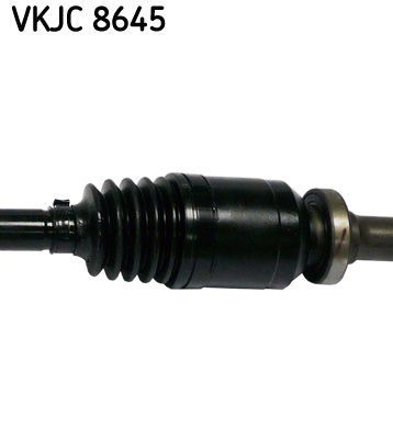 Pusašis SKF VKJC 8645