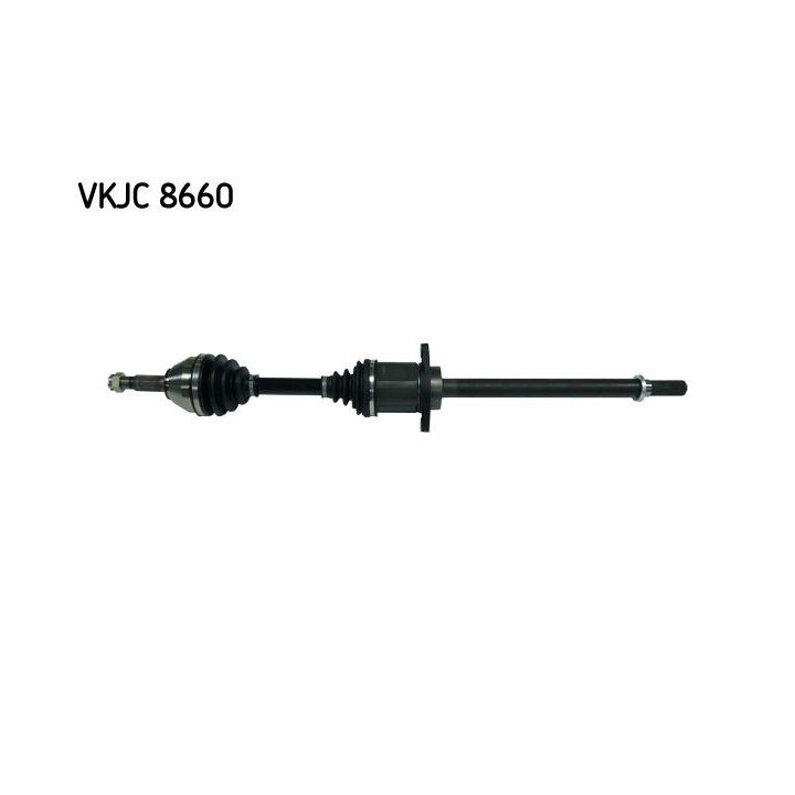 Pusašis SKF VKJC 8660