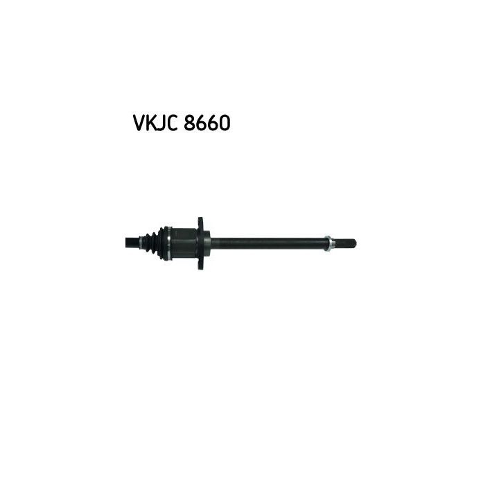 Pusašis SKF VKJC 8660