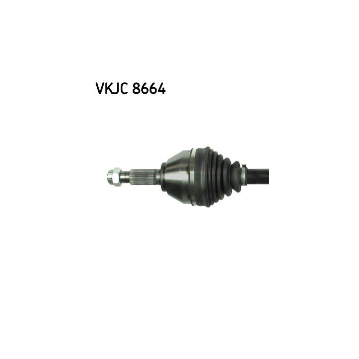 Pusašis SKF VKJC 8664
