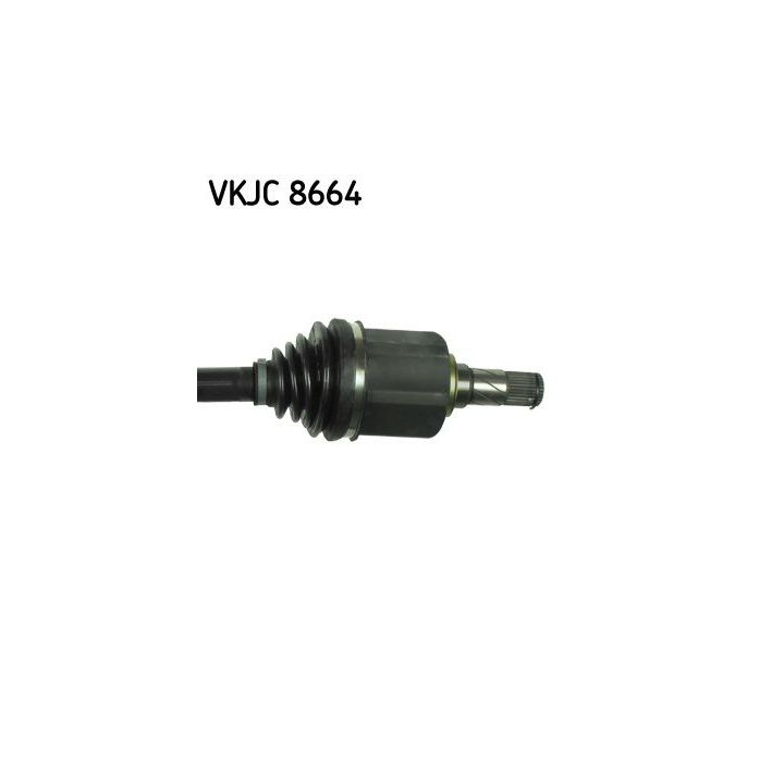 Pusašis SKF VKJC 8664