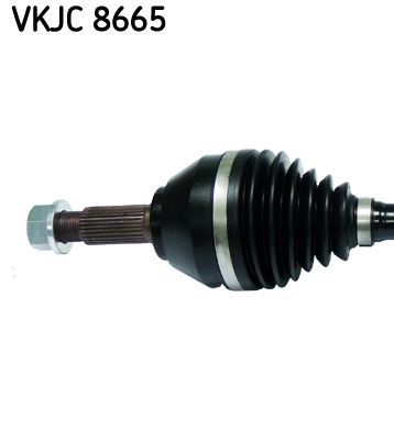 Pusašis SKF VKJC 8665