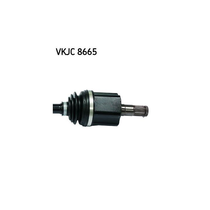 Pusašis SKF VKJC 8665