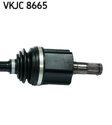 Pusašis SKF VKJC 8665