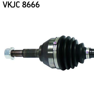 Pusašis SKF VKJC 8666