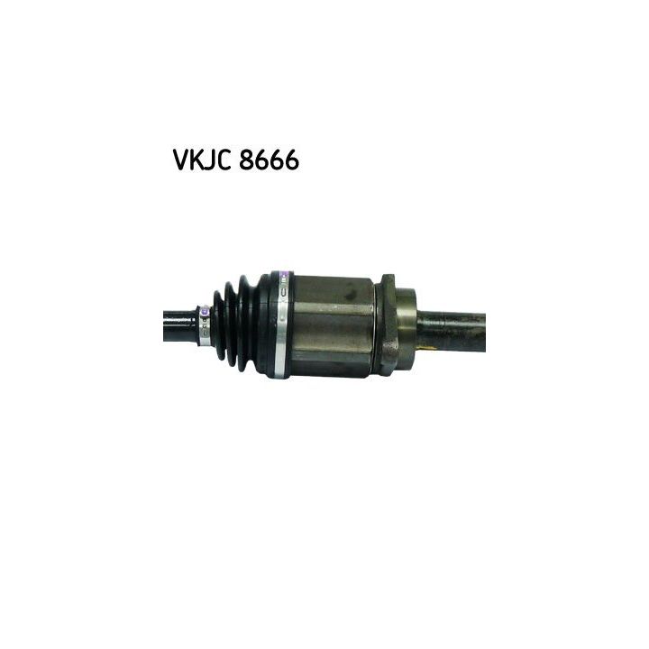 Pusašis SKF VKJC 8666