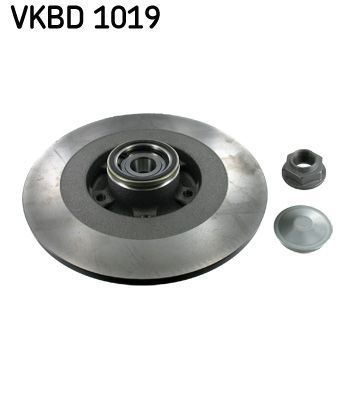 Stabdžių diskas SKF VKBD 1019