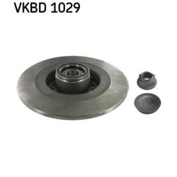 Stabdžių diskas SKF VKBD 1029