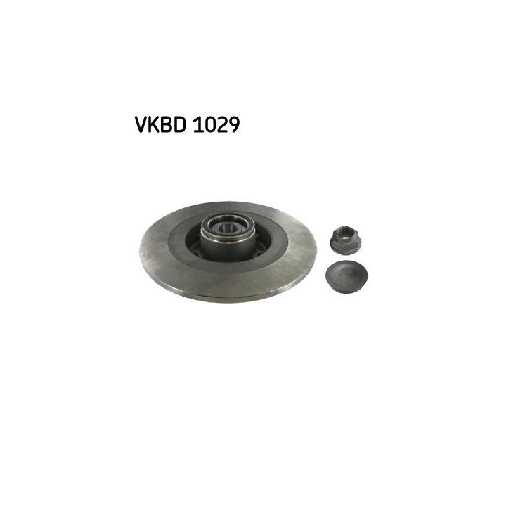 Stabdžių diskas SKF VKBD 1029