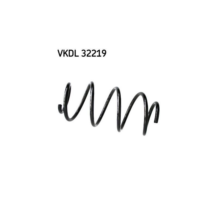 Spyruoklė SKF VKDL 32219