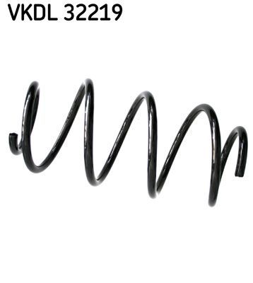 Spyruoklė SKF VKDL 32219
