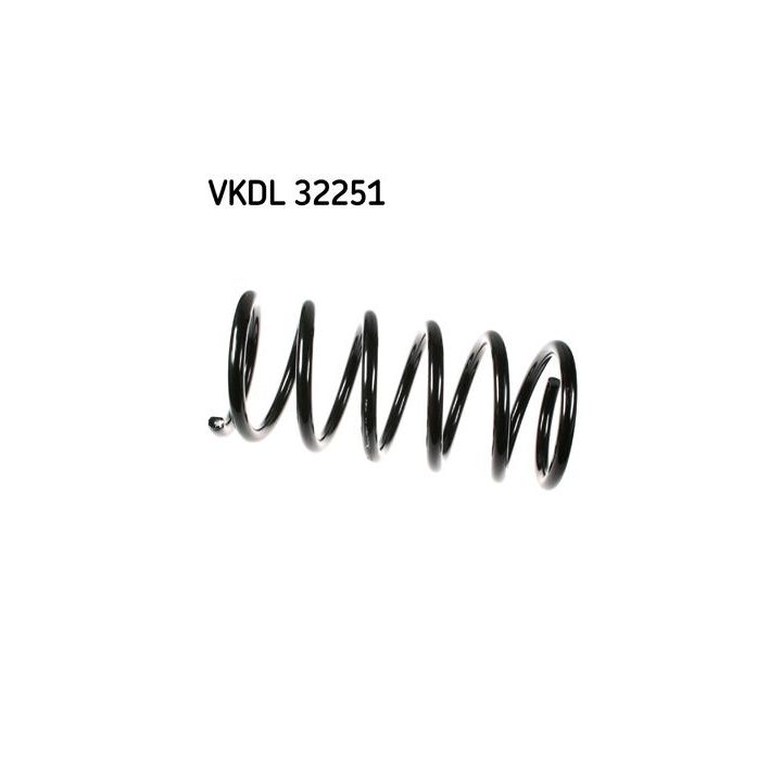 Spyruoklė SKF VKDL 32251
