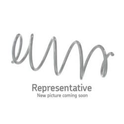 Spyruoklė SKF VKDL 32261