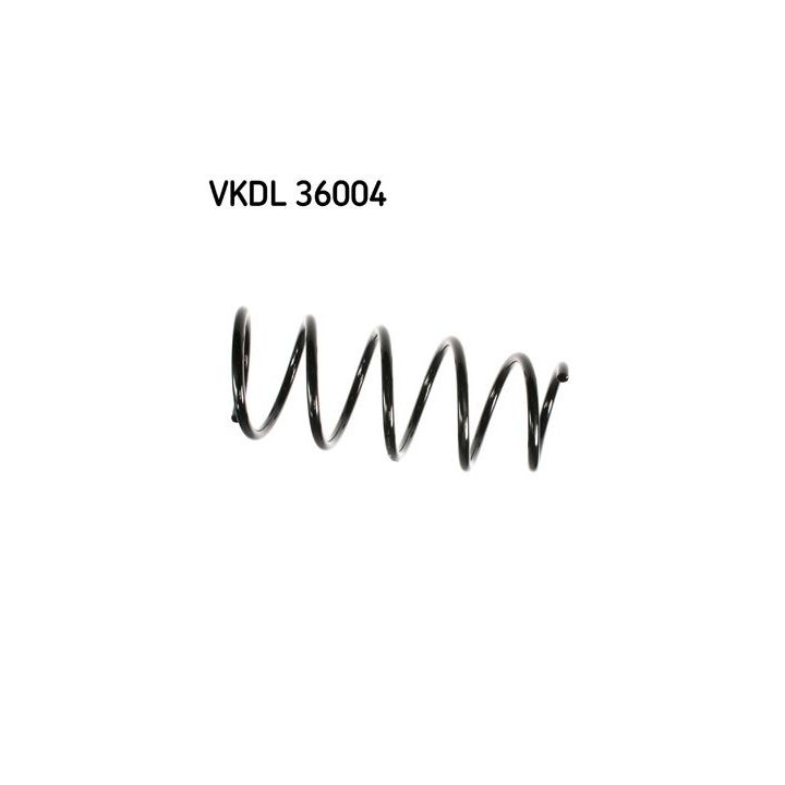 Spyruoklė SKF VKDL 36004