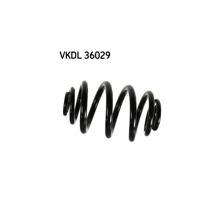 Spyruoklė SKF VKDL 36029