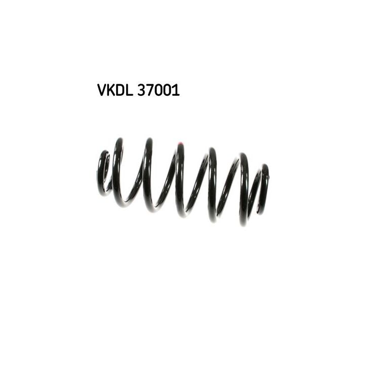 Spyruoklė SKF VKDL 37001