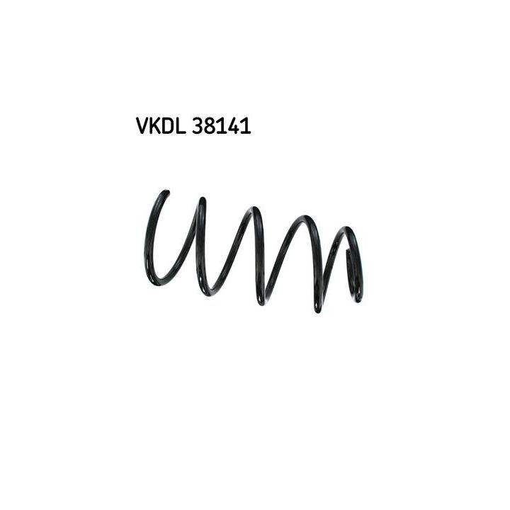 Spyruoklė SKF VKDL 38141