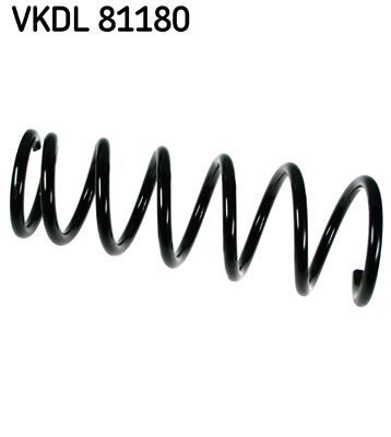 Spyruoklė SKF VKDL 81180