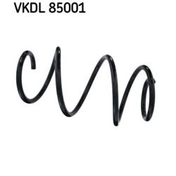 Spyruoklė SKF VKDL 85001